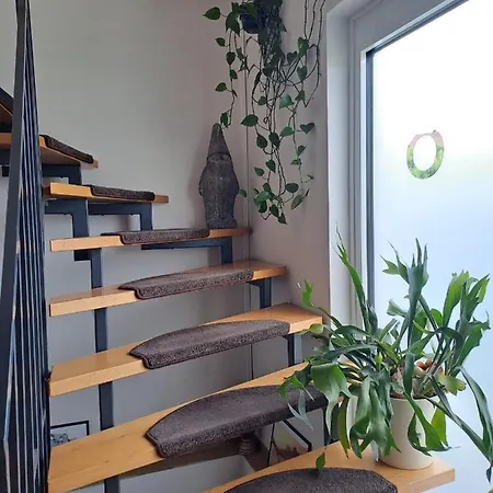 Mit Weitblick In Nordhessen * Gudensberg